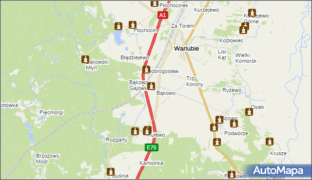 mapa Bąkowo gmina Warlubie, Bąkowo gmina Warlubie na mapie Targeo