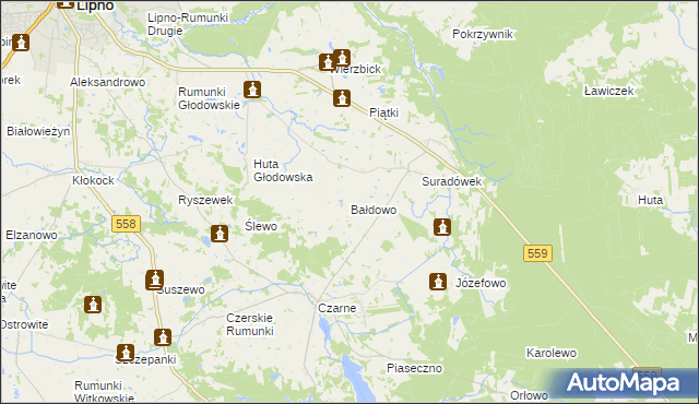 mapa Bałdowo gmina Wielgie, Bałdowo gmina Wielgie na mapie Targeo