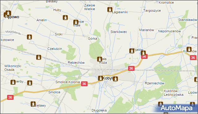 mapa Biała Róża gmina Kobylin, Biała Róża gmina Kobylin na mapie Targeo