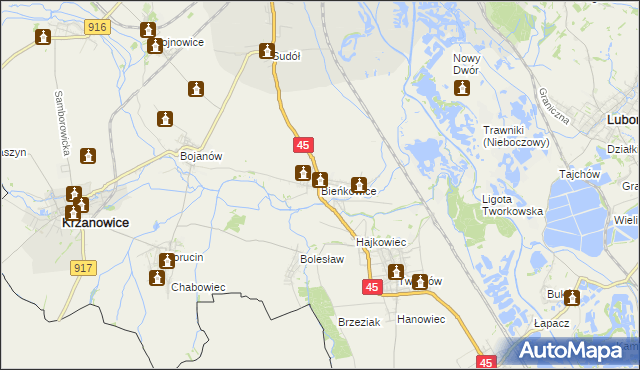 mapa Bieńkowice gmina Krzyżanowice, Bieńkowice gmina Krzyżanowice na mapie Targeo