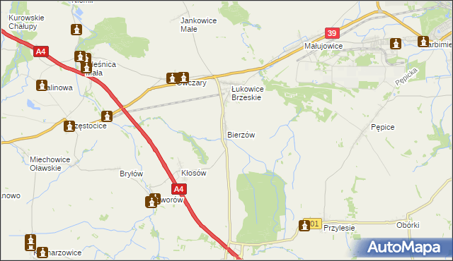 mapa Bierzów gmina Skarbimierz, Bierzów gmina Skarbimierz na mapie Targeo