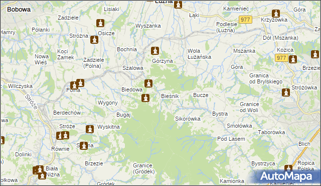 mapa Bieśnik gmina Łużna, Bieśnik gmina Łużna na mapie Targeo