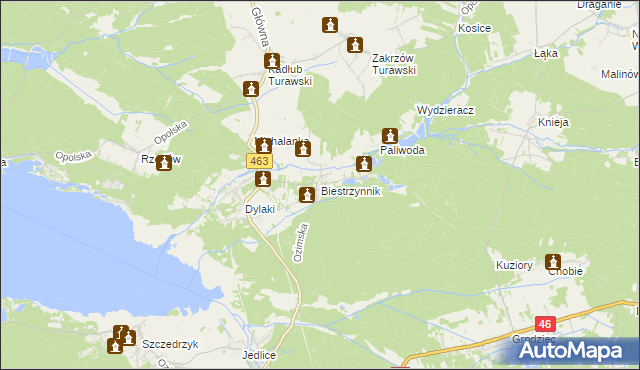 mapa Biestrzynnik, Biestrzynnik na mapie Targeo