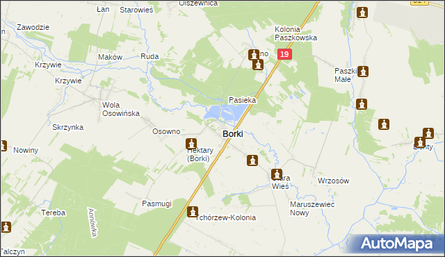 mapa Borki powiat radzyński, Borki powiat radzyński na mapie Targeo