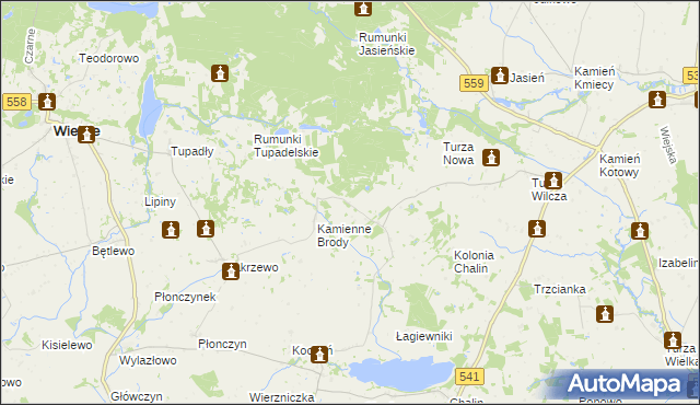 mapa Borowo gmina Tłuchowo, Borowo gmina Tłuchowo na mapie Targeo
