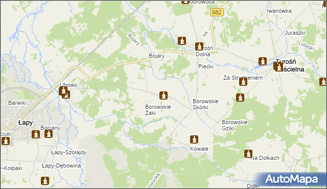 mapa Borowskie Olki, Borowskie Olki na mapie Targeo