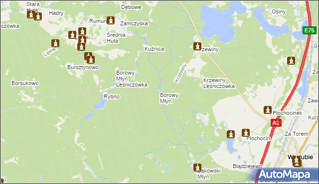 mapa Borowy Młyn gmina Warlubie, Borowy Młyn gmina Warlubie na mapie Targeo