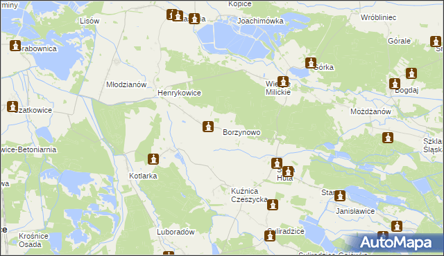 mapa Borzynowo gmina Milicz, Borzynowo gmina Milicz na mapie Targeo
