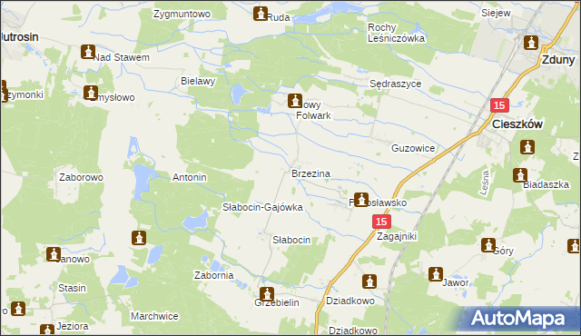 mapa Brzezina gmina Cieszków, Brzezina gmina Cieszków na mapie Targeo