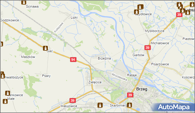 mapa Brzezina gmina Skarbimierz, Brzezina gmina Skarbimierz na mapie Targeo