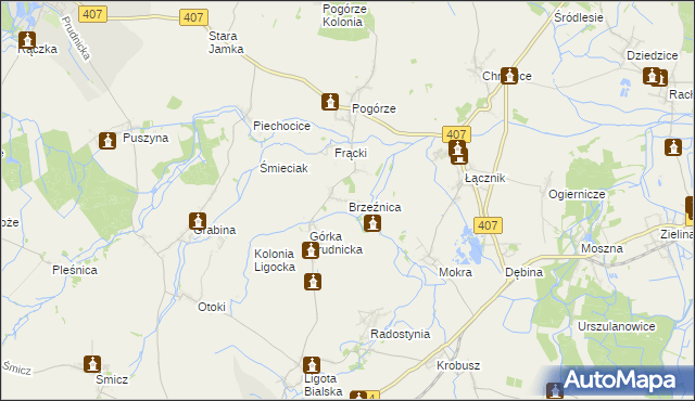 mapa Brzeźnica gmina Biała, Brzeźnica gmina Biała na mapie Targeo