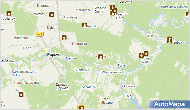 mapa Brzózki gmina Popów, Brzózki gmina Popów na mapie Targeo