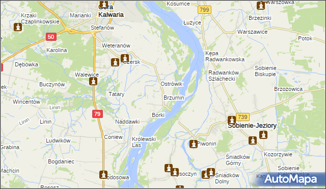 mapa Brzumin, Brzumin na mapie Targeo