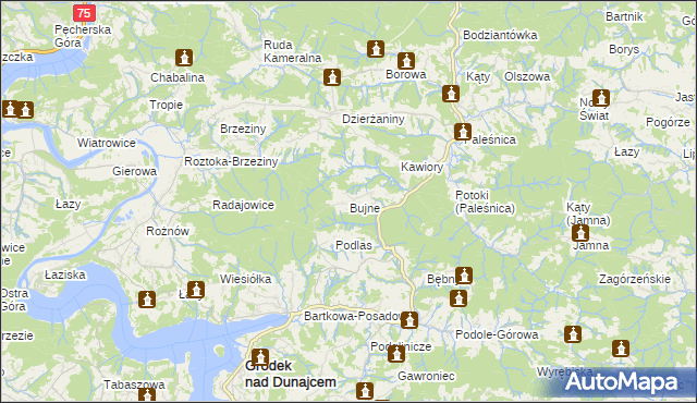 mapa Bujne, Bujne na mapie Targeo