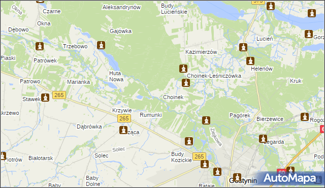 mapa Choinek, Choinek na mapie Targeo