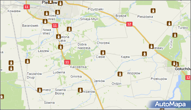 mapa Cieśle gmina Gołuchów, Cieśle gmina Gołuchów na mapie Targeo