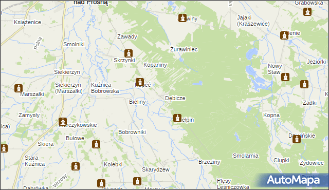 mapa Dębicze, Dębicze na mapie Targeo