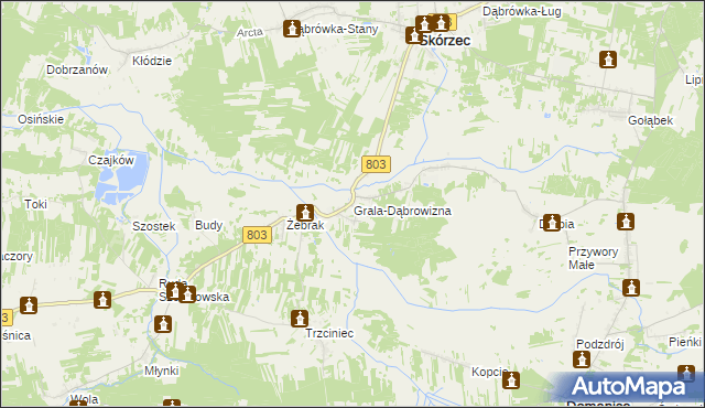 mapa Grala-Dąbrowizna, Grala-Dąbrowizna na mapie Targeo