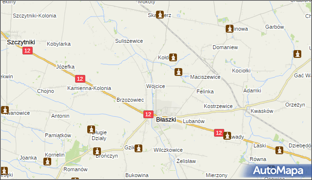 mapa Kokoszki gmina Błaszki, Kokoszki gmina Błaszki na mapie Targeo