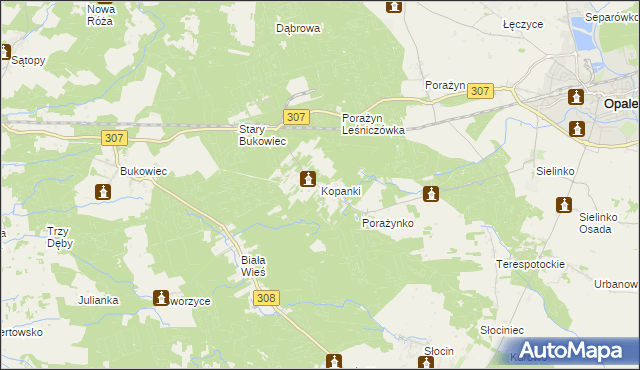 mapa Kopanki gmina Opalenica, Kopanki gmina Opalenica na mapie Targeo