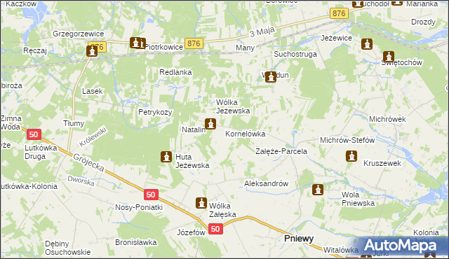 mapa Kornelówka gmina Pniewy, Kornelówka gmina Pniewy na mapie Targeo