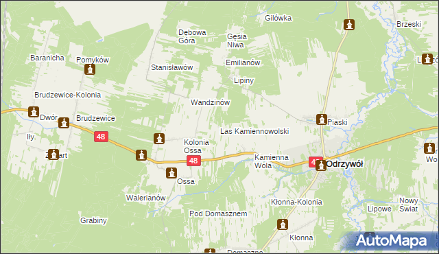 mapa Las Kamiennowolski, Las Kamiennowolski na mapie Targeo