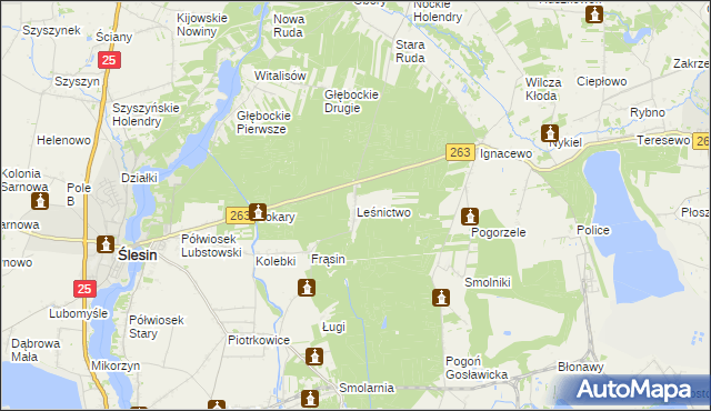 mapa Leśnictwo gmina Ślesin, Leśnictwo gmina Ślesin na mapie Targeo