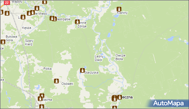 mapa Leśny Dwór gmina Osieczna, Leśny Dwór gmina Osieczna na mapie Targeo