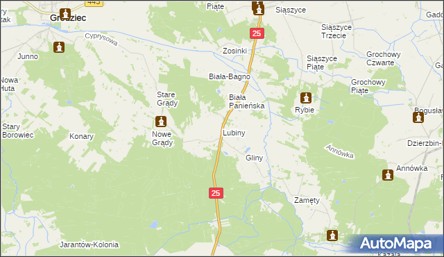 mapa Lubiny gmina Rychwał, Lubiny gmina Rychwał na mapie Targeo