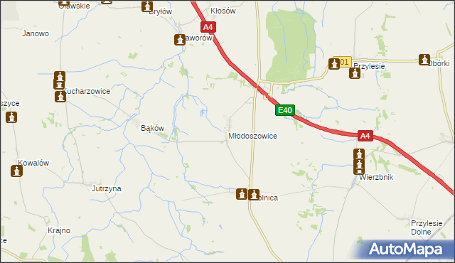 mapa Młodoszowice, Młodoszowice na mapie Targeo