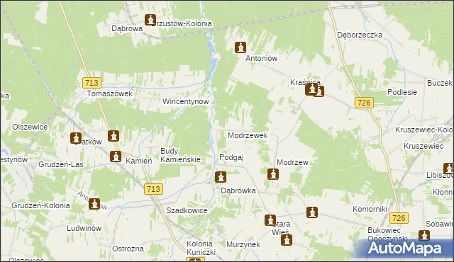 mapa Modrzewek gmina Opoczno, Modrzewek gmina Opoczno na mapie Targeo