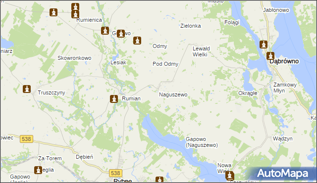 mapa Naguszewo, Naguszewo na mapie Targeo