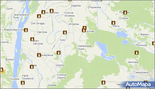 mapa Niedźwiada Duża, Niedźwiada Duża na mapie Targeo