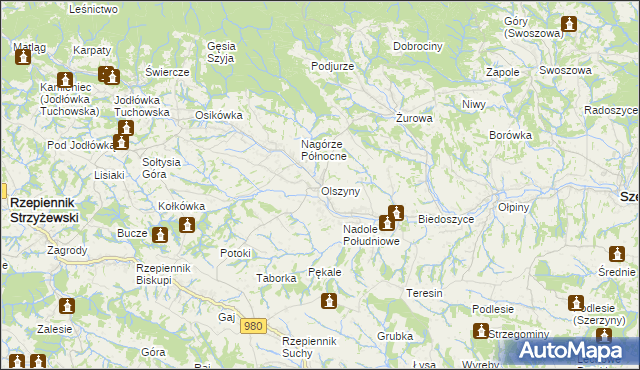 mapa Olszyny gmina Rzepiennik Strzyżewski, Olszyny gmina Rzepiennik Strzyżewski na mapie Targeo