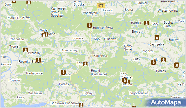mapa Paleśnica, Paleśnica na mapie Targeo