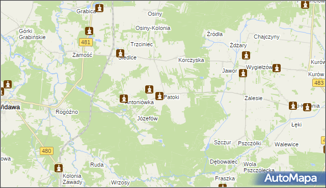 mapa Patoki gmina Widawa, Patoki gmina Widawa na mapie Targeo