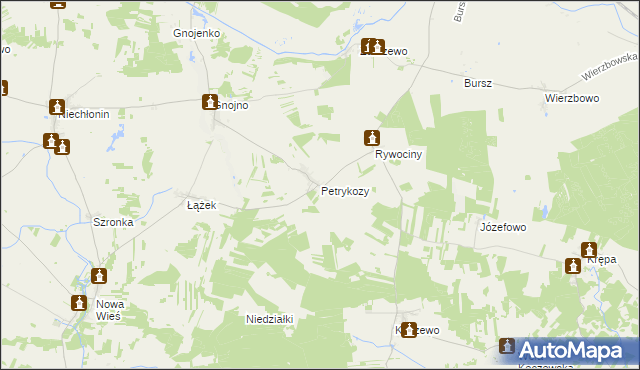 mapa Petrykozy gmina Działdowo, Petrykozy gmina Działdowo na mapie Targeo