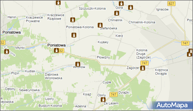 mapa Płowizny, Płowizny na mapie Targeo