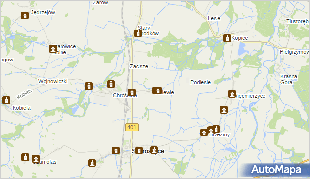 mapa Pniewie gmina Skoroszyce, Pniewie gmina Skoroszyce na mapie Targeo