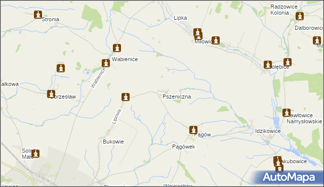 mapa Pszeniczna, Pszeniczna na mapie Targeo