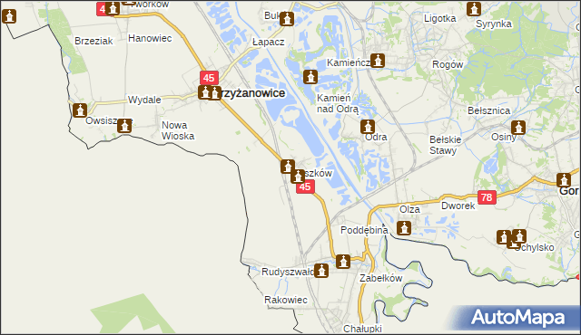 mapa Roszków gmina Krzyżanowice, Roszków gmina Krzyżanowice na mapie Targeo