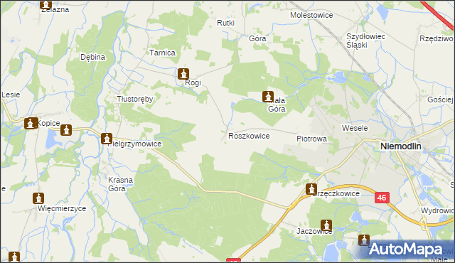 mapa Roszkowice gmina Niemodlin, Roszkowice gmina Niemodlin na mapie Targeo