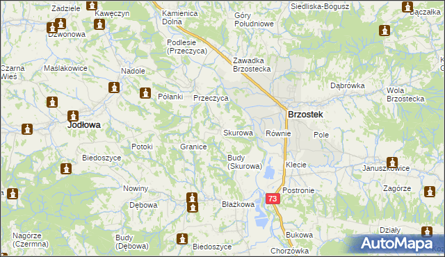 mapa Skurowa, Skurowa na mapie Targeo