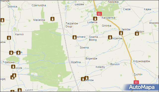 mapa Sowina gmina Pleszew, Sowina gmina Pleszew na mapie Targeo