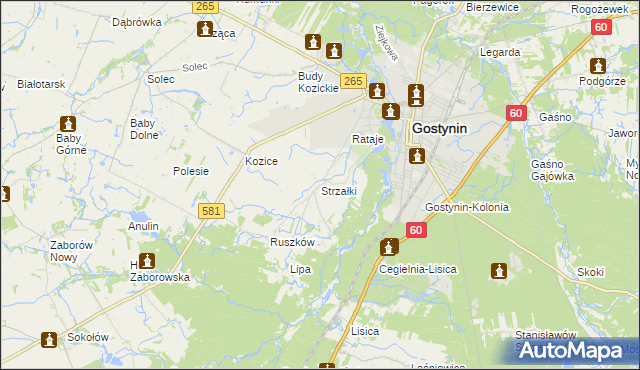 mapa Strzałki gmina Gostynin, Strzałki gmina Gostynin na mapie Targeo