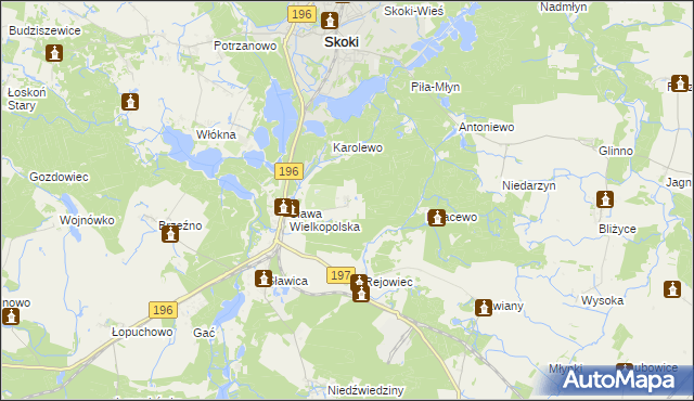 mapa Szczodrochowo gmina Skoki, Szczodrochowo gmina Skoki na mapie Targeo