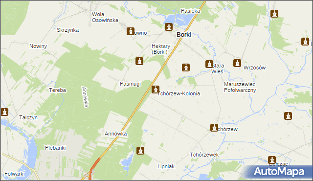 mapa Tchórzew-Kolonia, Tchórzew-Kolonia na mapie Targeo