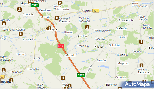 mapa Trzcianka gmina Sobolew, Trzcianka gmina Sobolew na mapie Targeo