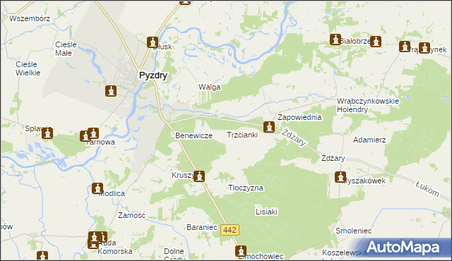 mapa Trzcianki gmina Pyzdry, Trzcianki gmina Pyzdry na mapie Targeo
