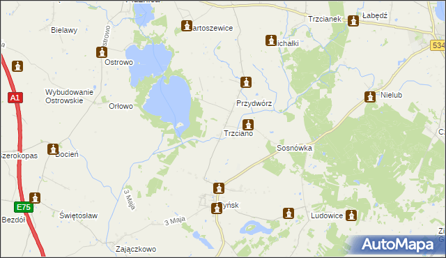 mapa Trzciano gmina Ryńsk, Trzciano gmina Ryńsk na mapie Targeo